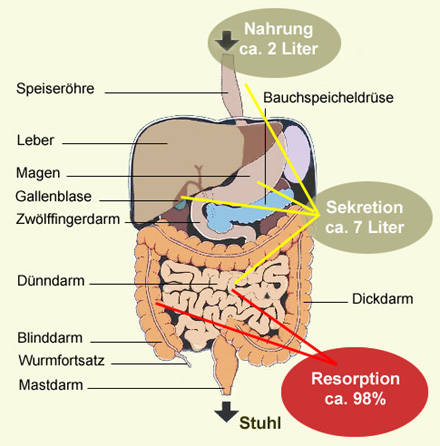 Druckvorschau Mediscope Ag